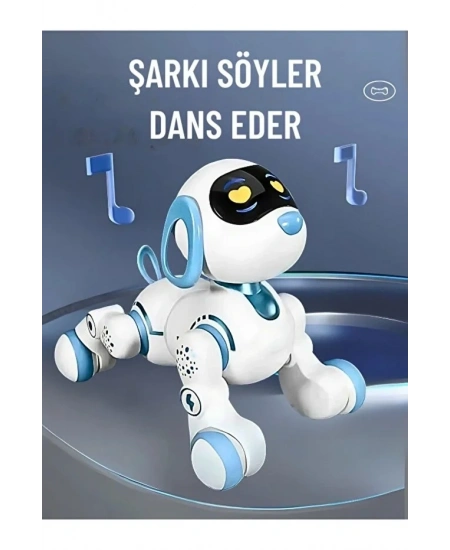 UZAKTAN KUMANDALI DANS EDEBİLEN ROBOT KÖPEK