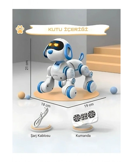 UZAKTAN KUMANDALI DANS EDEBİLEN ROBOT KÖPEK