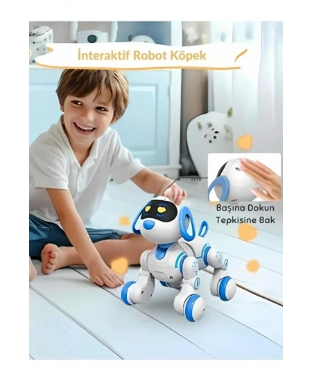 UZAKTAN KUMANDALI DANS EDEBİLEN ROBOT KÖPEK