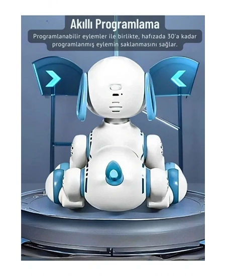 UZAKTAN KUMANDALI DANS EDEBİLEN ROBOT KÖPEK