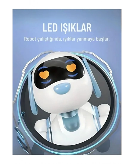 UZAKTAN KUMANDALI DANS EDEBİLEN ROBOT KÖPEK
