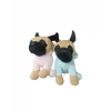 35 CM KIYAFETLİ KÖPEK
