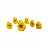6LI ÖRDEK