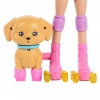 BARBIE PATEN ARKADAŞIM OYUN SETİ DHL