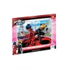 CA FRAME PUZZLE