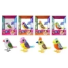 DIGIBIRDS TEKLİ PAKET SERİ - 2 ASORTİ 8Lİ