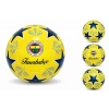 FENERBAHÇE FUTBOL TOPU