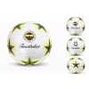 FENERBAHÇE FUTBOL TOPU