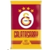 GALATASARAY GO KART 2024/25