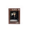 HARRY POTTER HEROBOX KLASİK SERİ SÜRPRİZ PAKET DHL