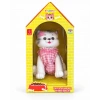 KUTUDA KEDİ SESLİ