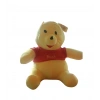 PELUŞ AYI 55CM