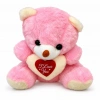 PELUŞ AYICIK TAVŞAN 25CM