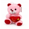PELUŞ RENKLİ AYICIK 20CM