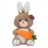 PELUŞ TAVŞAN HAVUÇLU 55CM