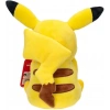 POKEMON PELUŞ FİGÜR 20 CM ASORTİ DHL