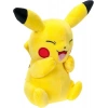 POKEMON PELUŞ FİGÜR 20 CM ASORTİ DHL