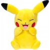POKEMON PELUŞ FİGÜR 20 CM ASORTİ DHL