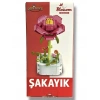 ŞAKAYIK LEGO BLOK