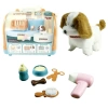 TAŞIMA ÇANTALI KÖPEK SET