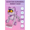 UZAKTAN KUMANDALI DANS EDEBİLEN ROBOT KEDİ