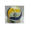 VOLEYBOL TOPU BSV-446