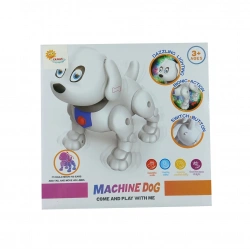 KUTUDA PİLLİ IŞIKLI KÖPEK