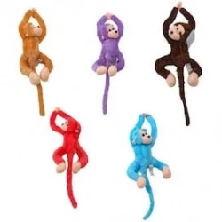 BÜYÜK SESLİ SARILAN MAYMUN