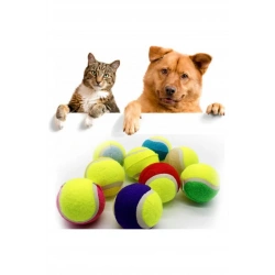 TENİS - KÖPEK TOPU