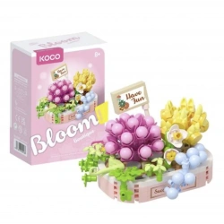 BLOOM BOUTIQUE SUKULENT BİTKİ KOMBİNASYONU 249PRÇ