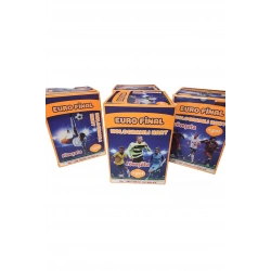 EURO FİNAL HOLOGRAMLI KART 200LÜ