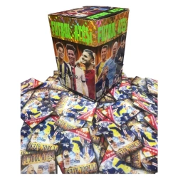 FUTBOL ATEŞİ BİYONİK ESFANELER