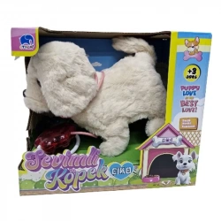 KUMANDALI MIA KÖPEK ORTA BOY