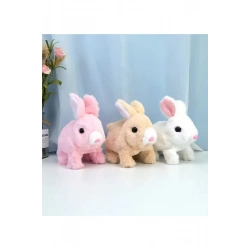PİLLİ YÜRÜYEN TAVŞAN 13*10CM