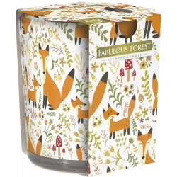 ATK BARDAK BYK MUM TEKLİ KUTULU BİS-SN72S-44