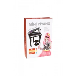 KUTULU 37 TUŞLU MİNİ PİANO (MİKROFON VE TABURELİ)