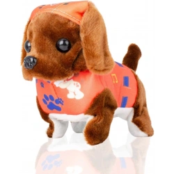 YÜRÜYEN SÜPER KÖPEK