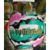 VOLEYBOL TOPU 292