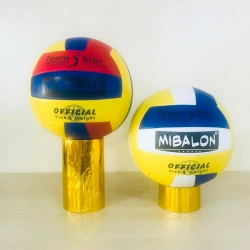 DİKİŞLİ VOLEYBOL TOPU