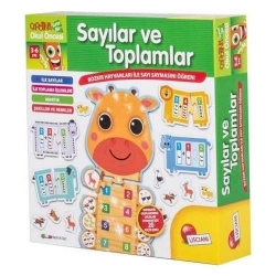 FRKN LC SAYILAR VE TOPLAMLAR