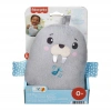FISHER PRICE UYKU ARKADAŞIM SEVİMLİ MORS DHL