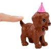 MTTL BRB VE KÖPEK PARTİSİ OYUN SETİ DHL
