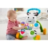 MTTL FISHER PRICE MELODİLİ ZEBRA YÜRÜTEÇ DHL