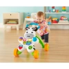 MTTL FISHER PRICE MELODİLİ ZEBRA YÜRÜTEÇ DHL