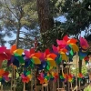 PLN 7 KANAT 18 CM RÜZGAR GÜLÜ