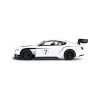 SNMN 1/14 F/F BENTLEY CONTINENTAL GT3 2.4GHZ.IŞIKL
