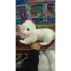 ŞRN 35 CM BEYAZ KEDİ PELUŞ