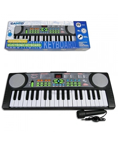 CNS MİKROFONLU ORG CANTO