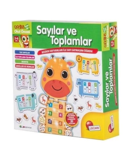 FRKN LC SAYILAR VE TOPLAMLAR
