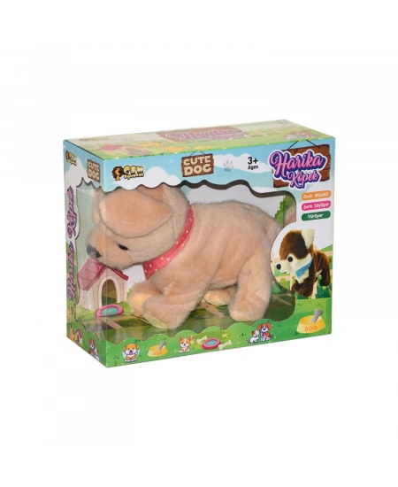 KÖPEK PİLLİ KUTULU